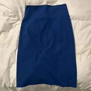 Express Pencil Skirt